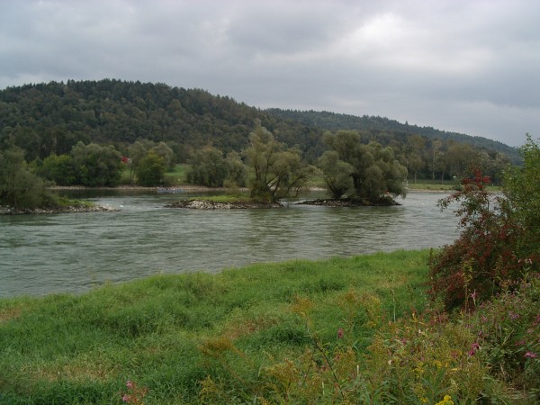 Isar-Mündung