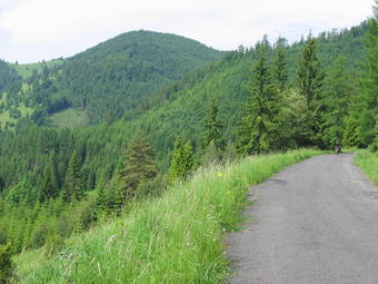 Forstweg im Slovenský Raj